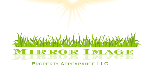 Mirror Image Property Appearance LLC